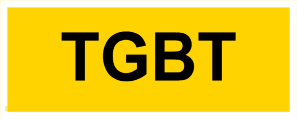 Panneau TGBT - 200 x 80 mm