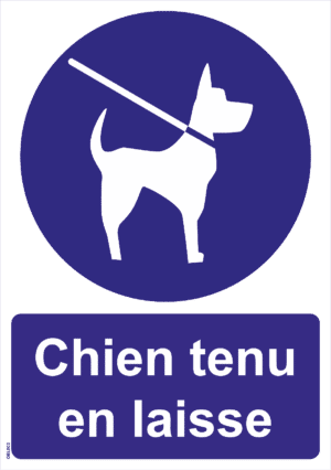 Panneau Chien tenu en laisse - A4