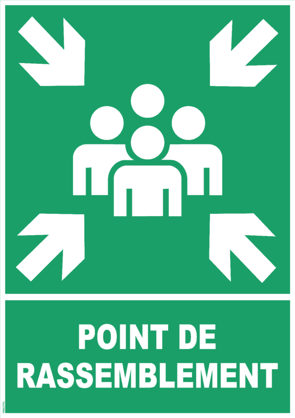 Panneau point de rassemblement + Picto - 297 x 420 mm - PVC