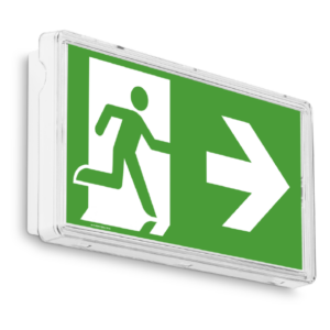 BAES / BAEH- Bi fonction - certifié NF - IP44 - SATI